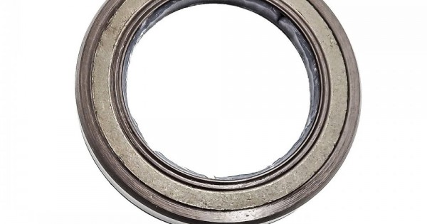 Pressure Oil Seal 28x40x6 BAB2SL05 FPM