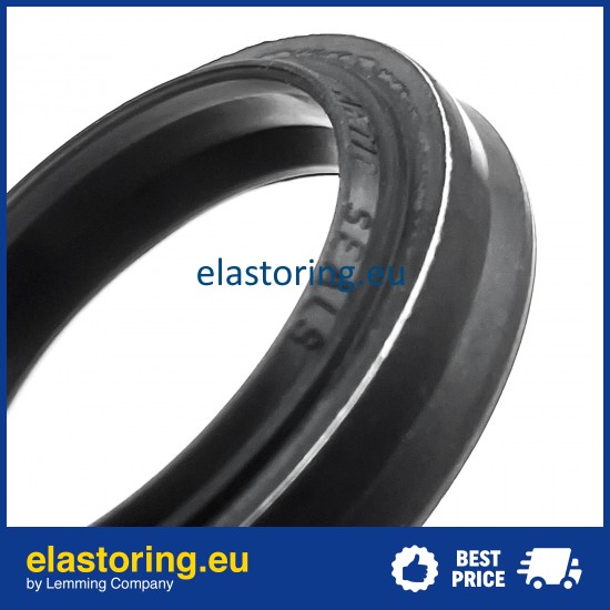 Wiper BWH/N 18x28x7/9,5 NG [2EBWHN19]