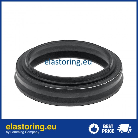 Wiper BWH/N 18x28x7/9,5 NG [2EBWHN19]