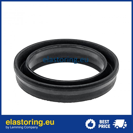Wiper BWH/N 18x28x7/9,5 NG [2EBWHN19]