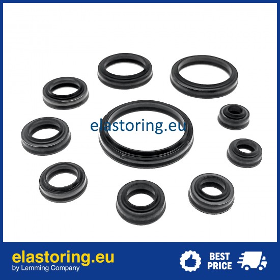 Wiper BWH/N 18x28x7/9,5 NG [2EBWHN19]