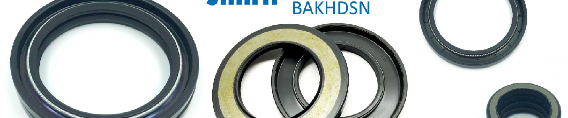 High Pressure Oil Seals BAHDSN High Pressure Oil Seals BAHDSN