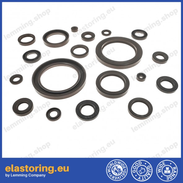 Oil seal WDR-A 140x170x15 FPM Oil seal WDR-A 140x170x15 FPM