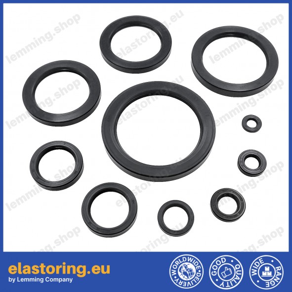 Oil seal WDR-A 8x14x4 NBR Oil seal WDR-A 8x14x4 NBR