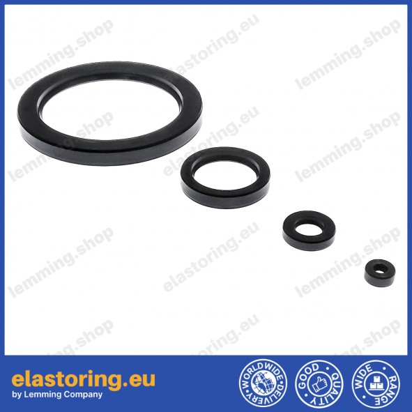Oil seal WDR-A 8x14x4 NBR Oil seal WDR-A 8x14x4 NBR
