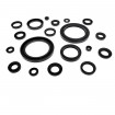 Oil seal WDR-A 8x14x4 NBR Oil seal WDR-A 8x14x4 NBR