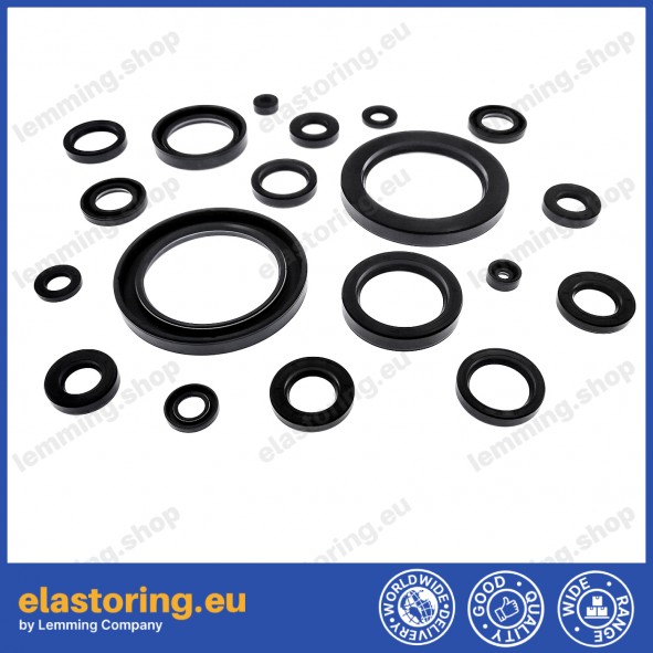 Oil seal WDR-A 8x14x4 NBR Oil seal WDR-A 8x14x4 NBR