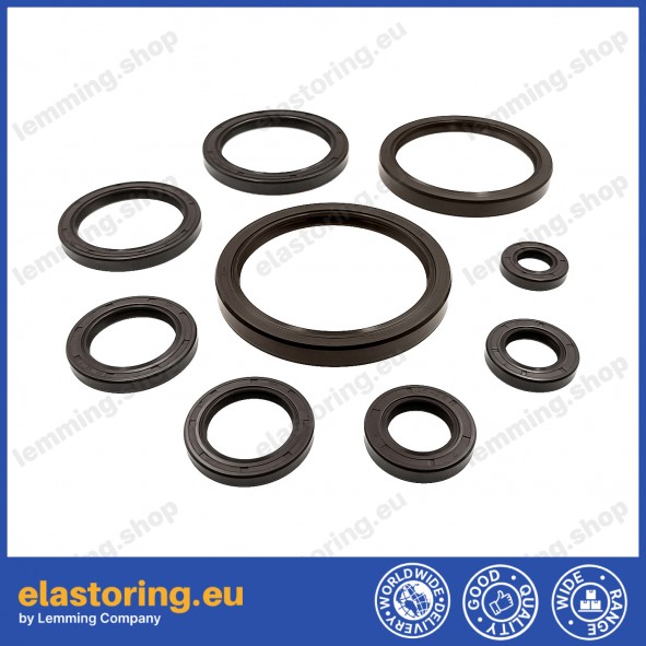 Oil seal WDR-AS 17x32x7 FPM Oil seal WDR-AS 17x32x7 FPM