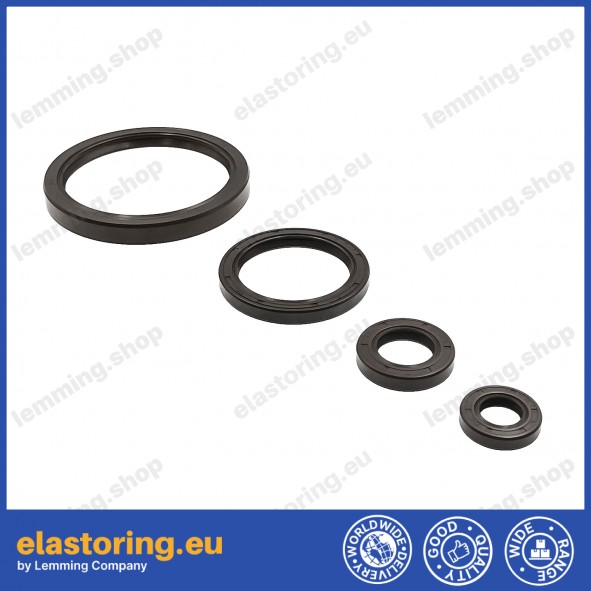 Oil seal WDR-AS 17x32x7 FPM Oil seal WDR-AS 17x32x7 FPM