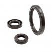 Oil seal WDR-AS 17x32x7 FPM Oil seal WDR-AS 17x32x7 FPM