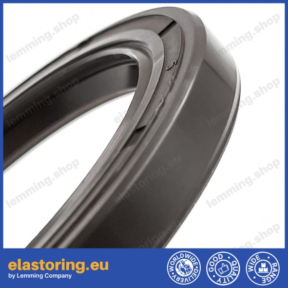 Oil seal WDR-AS 17x32x7 FPM Oil seal WDR-AS 17x32x7 FPM