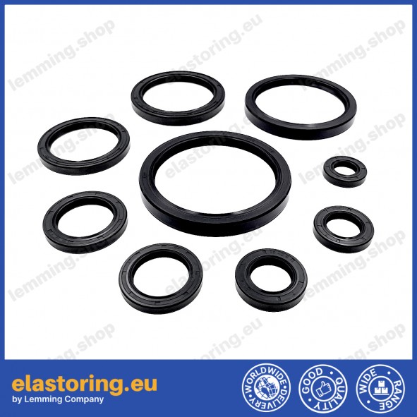 Oil seal WDR-AS 17x25x4 NBR Oil seal WDR-AS 17x25x4 NBR
