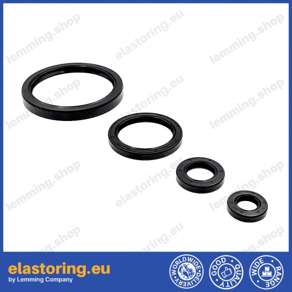 Oil seal WDR-AS 17x25x4 NBR Oil seal WDR-AS 17x25x4 NBR