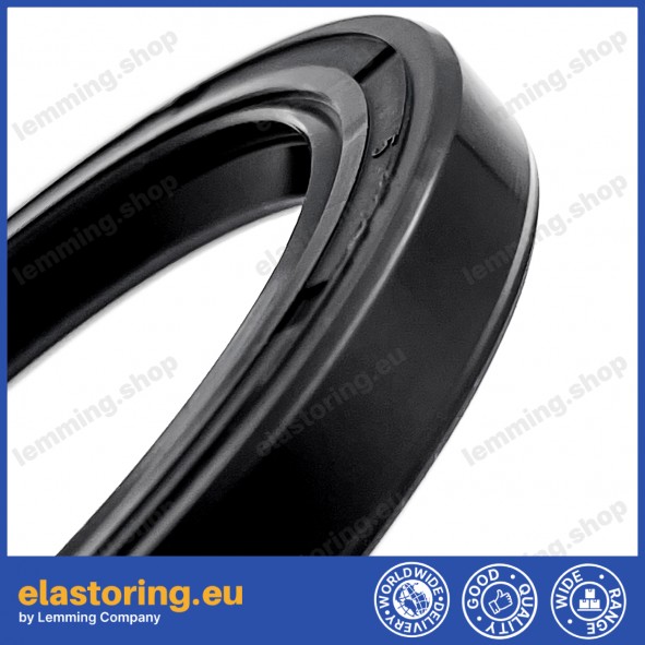 Oil seal WDR-AS 17x25x4 NBR Oil seal WDR-AS 17x25x4 NBR