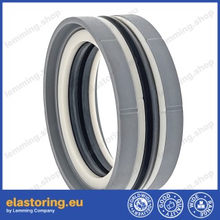 Piston seal 100x75x22,4 L43