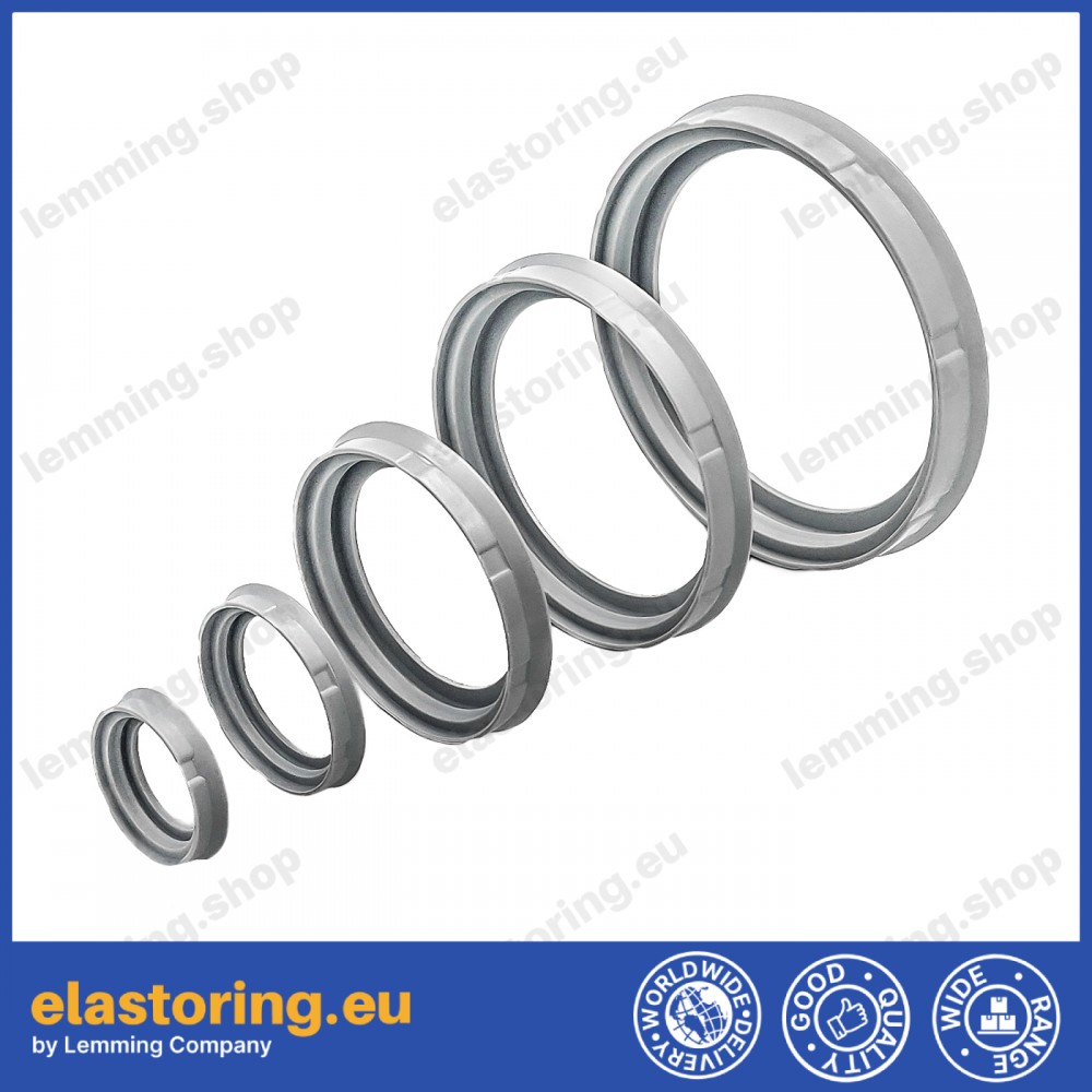 Pneumatic Piston seal type MPS Artic Seals Italy