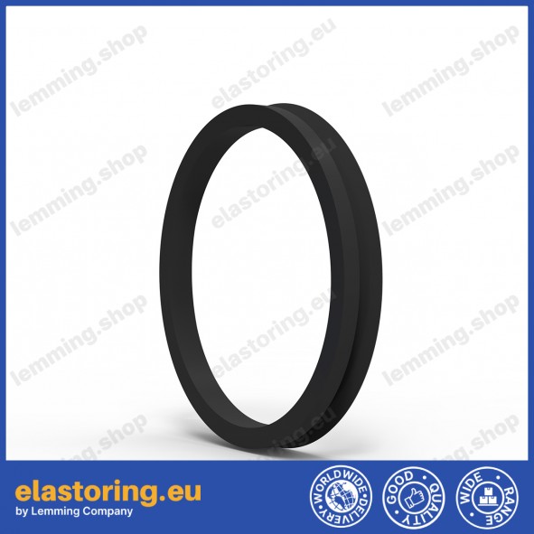 V-ring VA 55 NBR V-ring VA 55 NBR