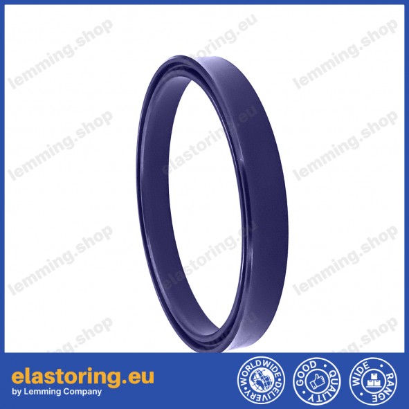 Rod seal RSA 6x14x5,7 C0 [2ERSA001]