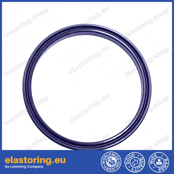 Rod seal RSA 6x14x5,7 C0 [2ERSA001]