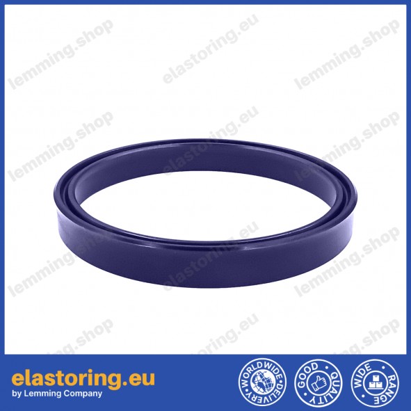 Rod seal RSA 6x14x5,7 C0 [2ERSA001]