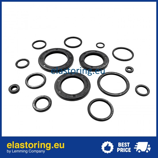 Oil seal 3,18x17,07x5,94 VC NBR Oil seal 3,18x17,07x5,94 VC NBR