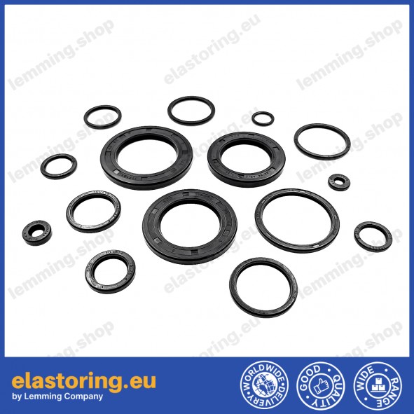 Oil seal 9x15x3 VC NBR Oil seal 9x15x3 VC NBR