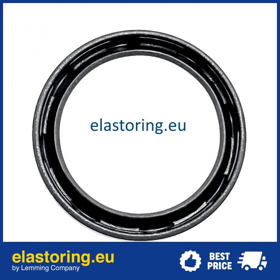Oil seal 3,18x17,07x5,94 VC NBR Oil seal 3,18x17,07x5,94 VC NBR
