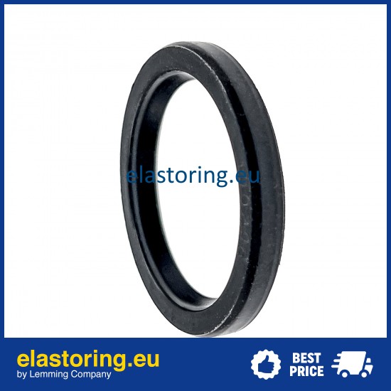 Oil seal 3,18x17,07x5,94 VC NBR Oil seal 3,18x17,07x5,94 VC NBR
