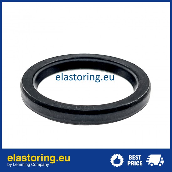 Oil seal 3,18x17,07x5,94 VC NBR Oil seal 3,18x17,07x5,94 VC NBR