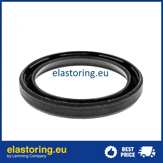 Oil seal 3,18x17,07x5,94 VC NBR Oil seal 3,18x17,07x5,94 VC NBR
