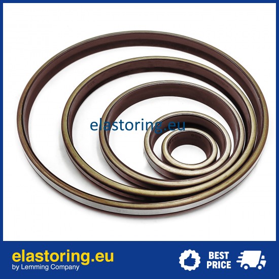 Wiper WPM 38*53*5/8 FPM+Stal Wiper WPM 38*53*5/8 FPM+Stal