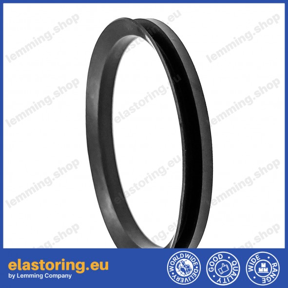 V-ring VA 55 NBR V-ring VA 55 NBR