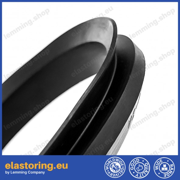 V-ring VS 25 NBR