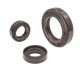 Pressure Oil Seal WDR-ASY 35x52x6 FPM