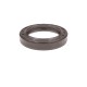 Pressure Oil Seal WDR-ASY 35x52x6 FPM