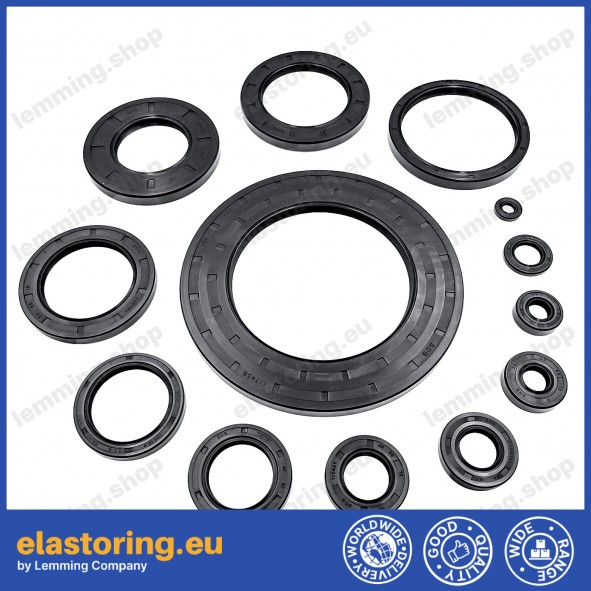 Oil seal 12x22x7 AS NBR Oil seal 12x22x7 AS NBR