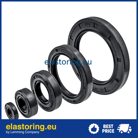 Oil seal 12x22x7 AS NBR