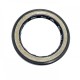 High pressure oil seal 35x48x5,5 BAKHDSN NBR