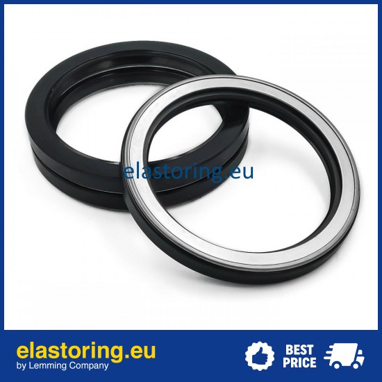 Oil seal 100x125x13 TCN1 NBR