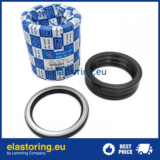 Oil seal 100x125x13 TCN1 NBR