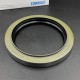 Oil seal 125x160x14/18 SYSTEM 500 120941E