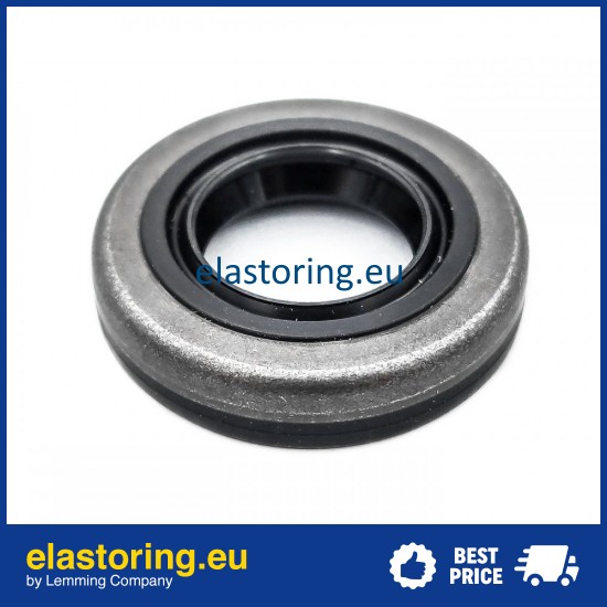 Oil seal 15x28x6,3 B1SLX1 NBR