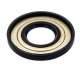 Oil seal 18,5x43x4,5 BAOFSFX7