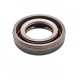 Oil seal 19,05x33,3x7,9 B1VISLRD FPM