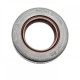 Oil seal 19,05x33,3x7,9 B1VISLRD FPM