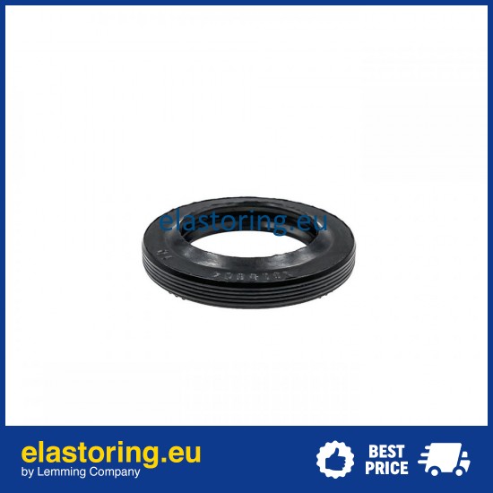 Oil seal 19x29x4,4/6 ASL-1PM