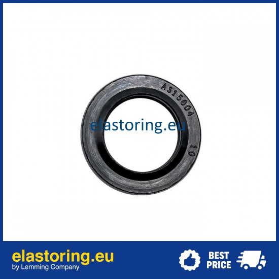 Oil seal 19x29x4,4/6 ASL-1PM