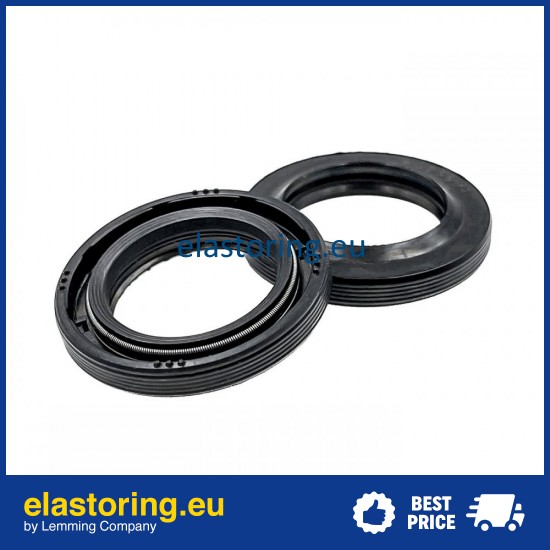 Oil seal 19x29x4,4/6 ASL-1PM