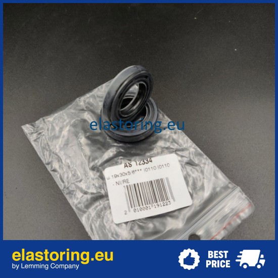 Oil seal 19x30x5/6 ASL-1PM