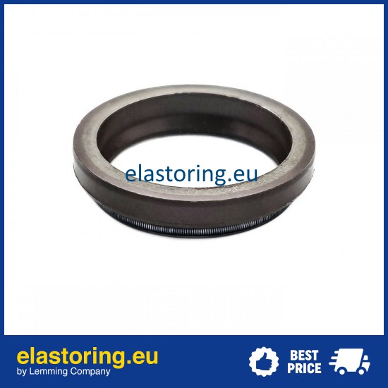 Oil seal 23,3x29,7x4/6,5 HTC FPM